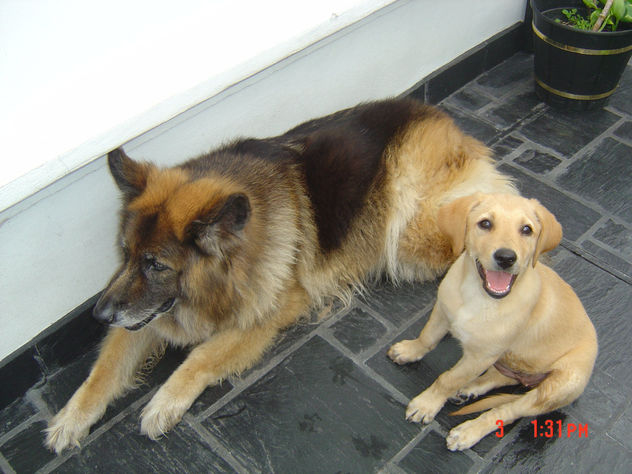 UMA Y DALILA ---LA EXTRAÑAMOS