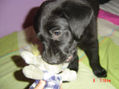 ONA JUGANDO