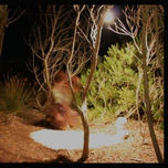 muestra  laverinto 2009 thumbnail 1