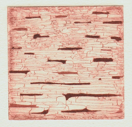 Corium II
