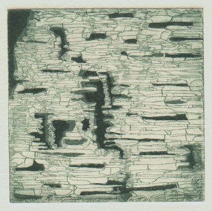 Corium III