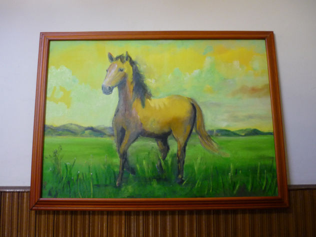 caballo al atardecer
