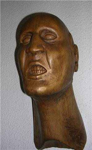 taxidermista