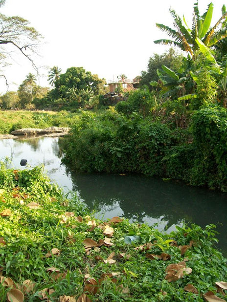 Paisaje 5