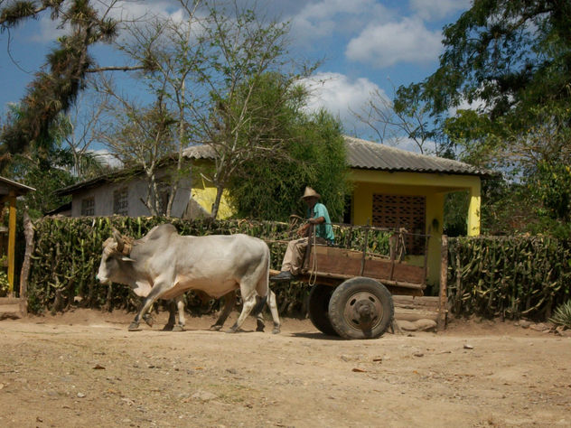 Paisaje 7