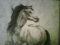 CABALLO