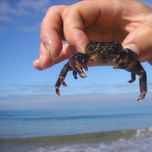 O Mar e Eu thumbnail 2