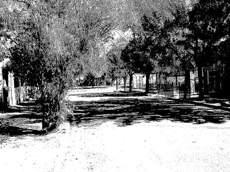 Soledad