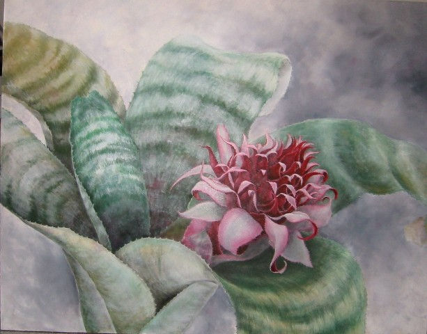 Aechmea Faciata Oil Canvas Floral Painting