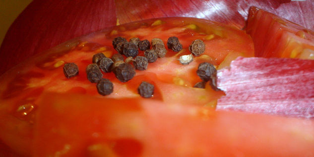 el tomate y la pimienta. 