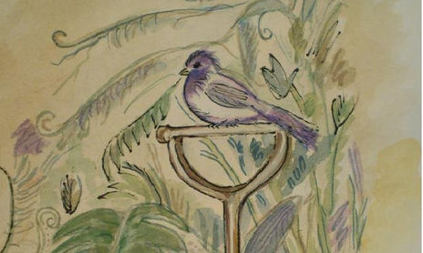 TEMAS DEL JARDIN