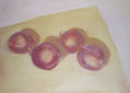 Cebollas