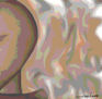 CONTORNO - Serie Belleza Sincera - 2009