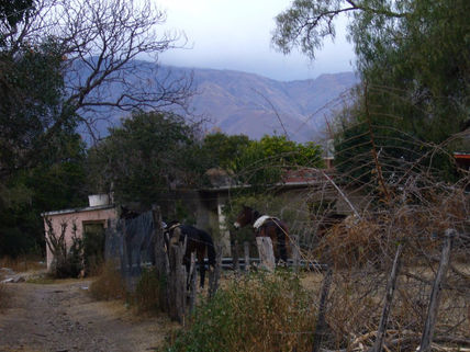 Allá Lejos