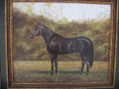 caballo