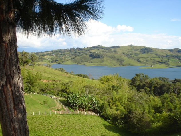 El Lago Calima Nature Color (Digital)