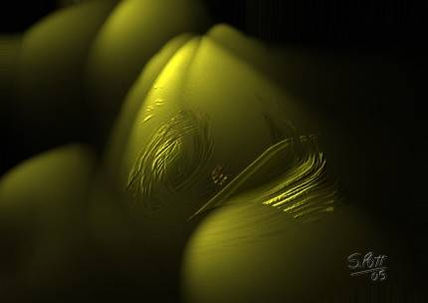 Luces