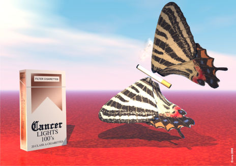 Borboleta