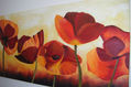 amapolas