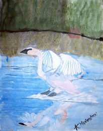 Cisne