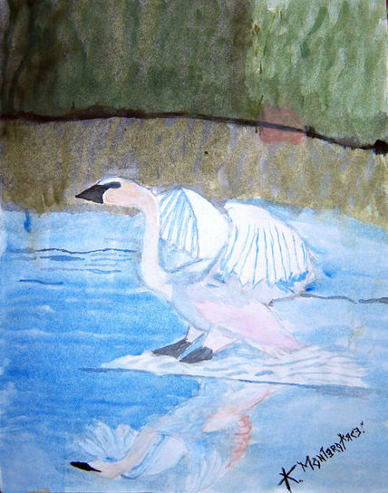 Cisne