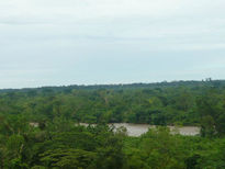 Naturaleza viva