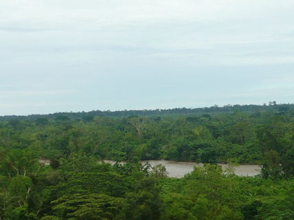 Naturaleza viva