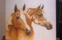 Caballos pintos