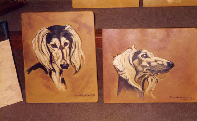 SALUKIS