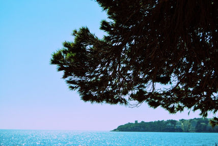 Paisaje