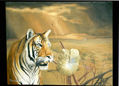 tigre