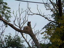 Mirando la naturaleza