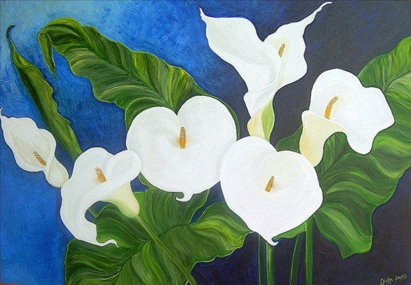 Calas Oil Canvas Floral Painting