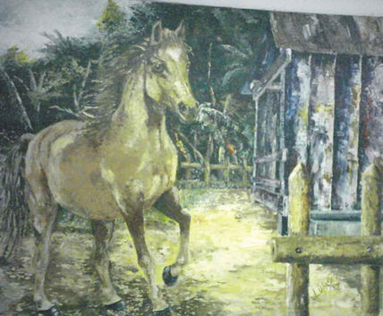 Potro