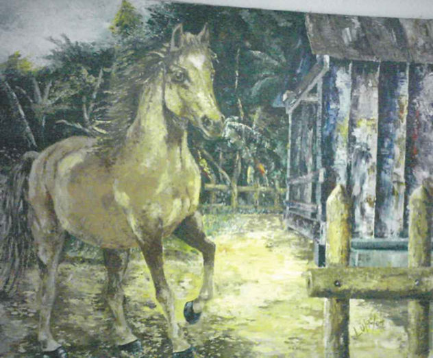 potro