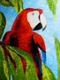 papagayo