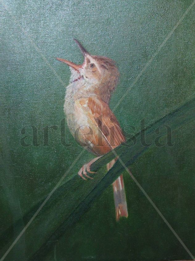 PÁJARO EN LA RAMA