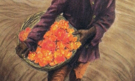 cuadros Figura