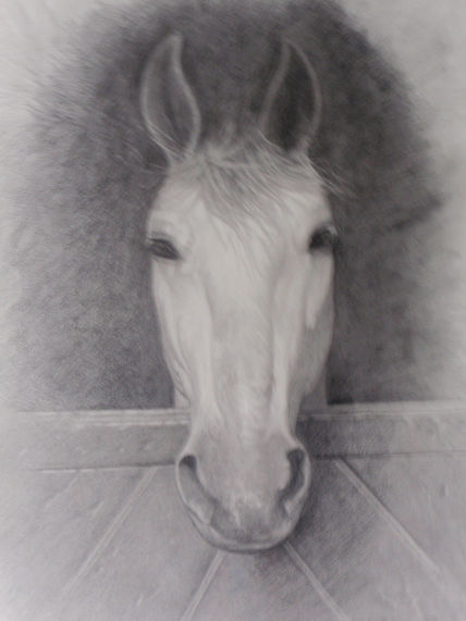 Caballo en negro