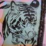 Baby Tiger