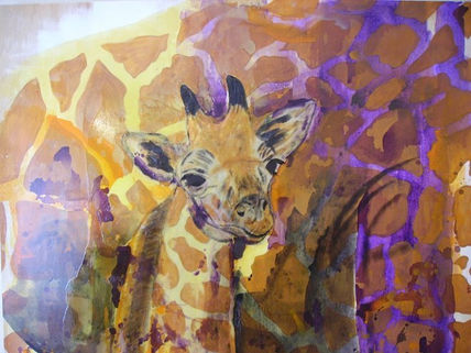 Girafas