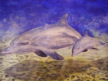 Dolphins
