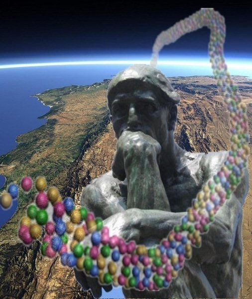 SABIDURIA EVOLUTIVA