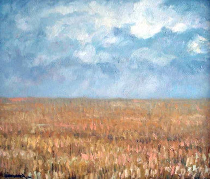 Campo de trigo