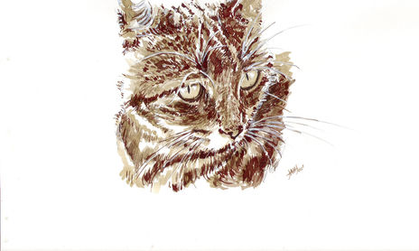TINTAS Y AGUADAS