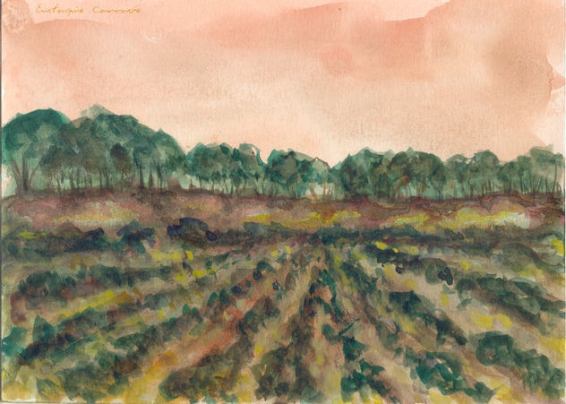 Viñedos y árboles de fondo