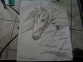 horse