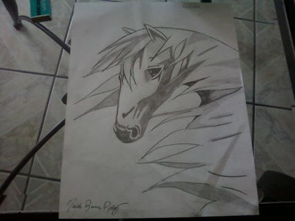Horse