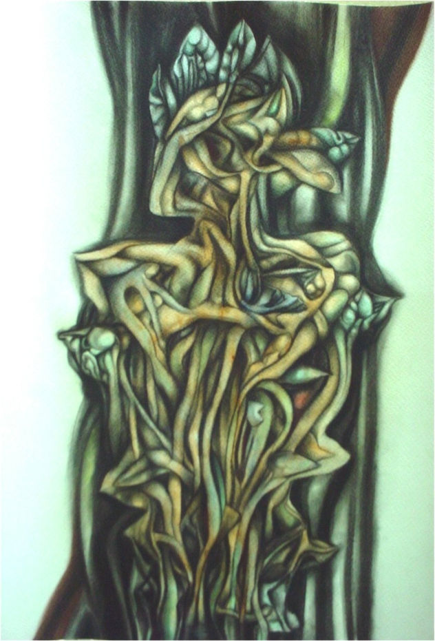 Serie torsos desnudos