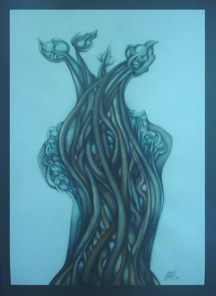 Bonsai